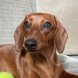 Meet your Posher, Sabrina